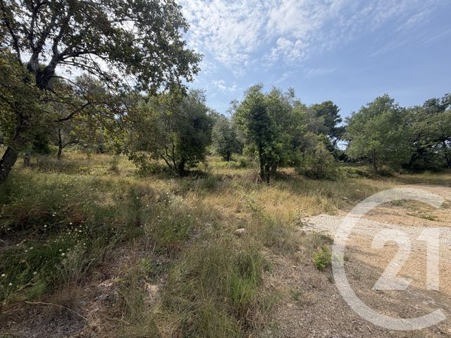 terrain à vendre - 2433.0 m2 - MOUGINS - 06 - PROVENCE-ALPES-COTE-D-AZUR - Century 21 Coast And Country