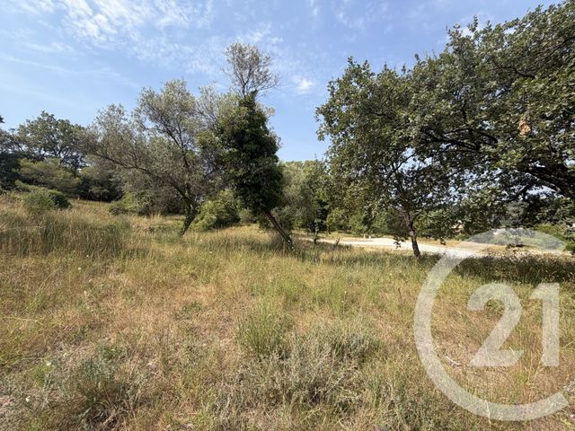 terrain à vendre - 2433.0 m2 - MOUGINS - 06 - PROVENCE-ALPES-COTE-D-AZUR - Century 21 Coast And Country